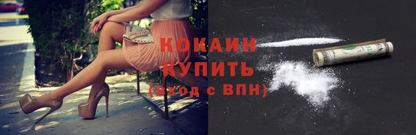 кокс Алексин
