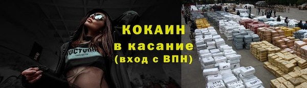 ПСИЛОЦИБИНОВЫЕ ГРИБЫ Арсеньев