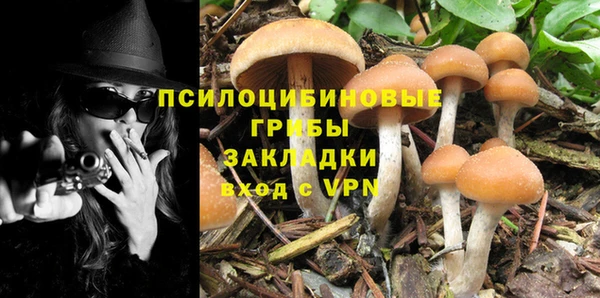 ALPHA PVP Алексеевка