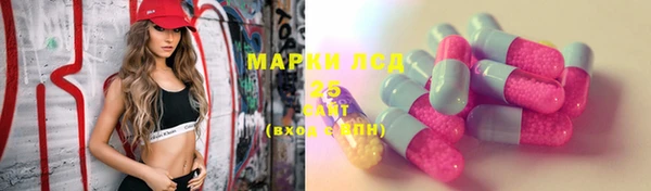кокс Алексин
