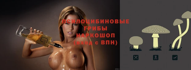 гидра Армянск